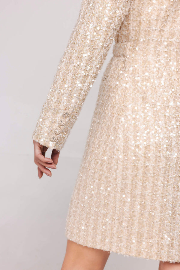 Robine Dress - Beige Glam